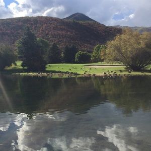 Meet your Posher, Suzanne