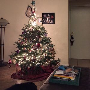 Meet your Posher, Robin