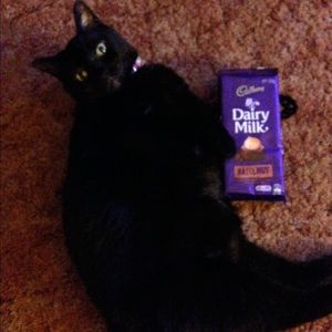 Meet your Posher, Cari