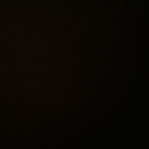 Meet your Posher, Shelby