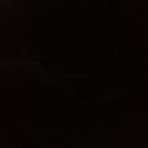 Meet your Posher, Diego