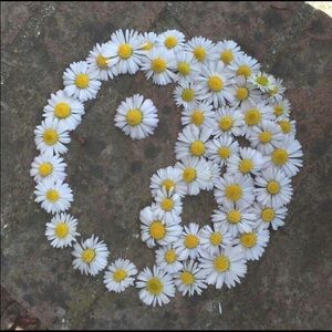 Meet your Posher, Mia