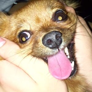 Meet your Posher, Macy