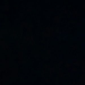 Meet your Posher, Max