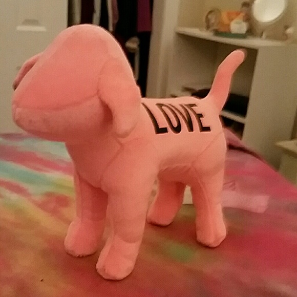 Pink Victorias Secret Dog