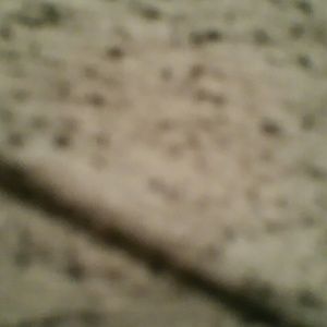 Meet your Posher, Nora