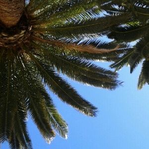 Meet your Posher, Ashly