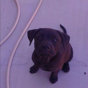 Meet your Posher, Ashley