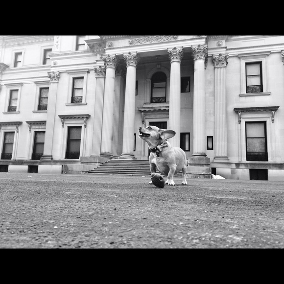 Meet your Posher, Kristy - Picture 2 of 4