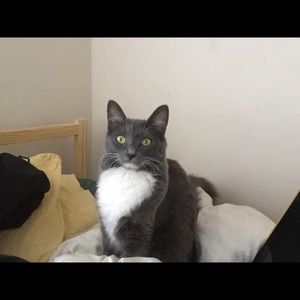 Meet your Posher, Bria