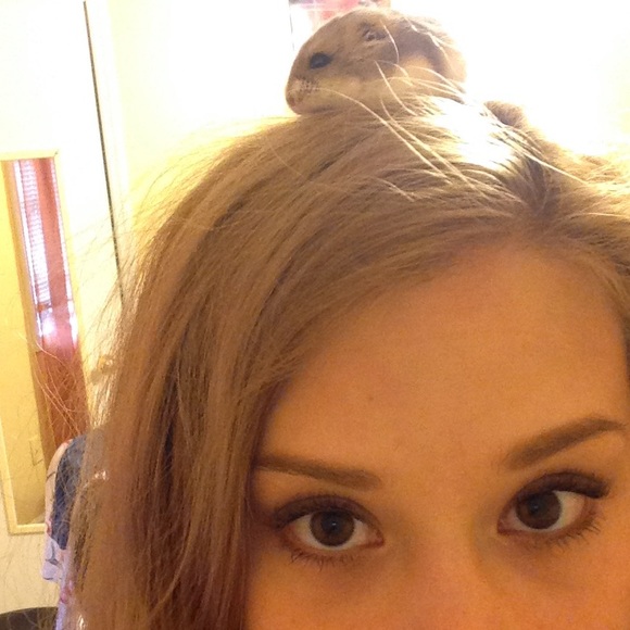 Meet your Posher, Morgan - Picture 2 of 2