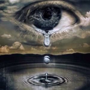 Meet your Posher, Jake