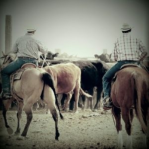 Meet your Posher, Garrett