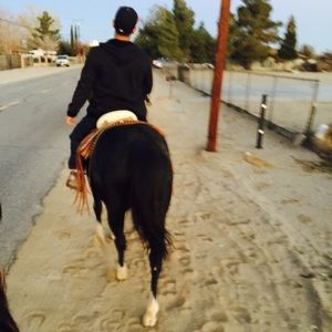 Meet your Posher, Fabiola