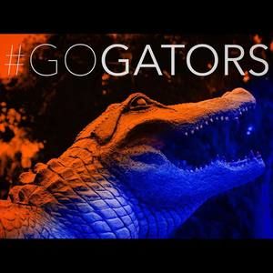 Meet your Posher, Leslie ann