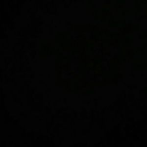 Meet your Posher, Rosie