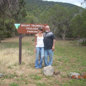 Meet your Posher, Shelley