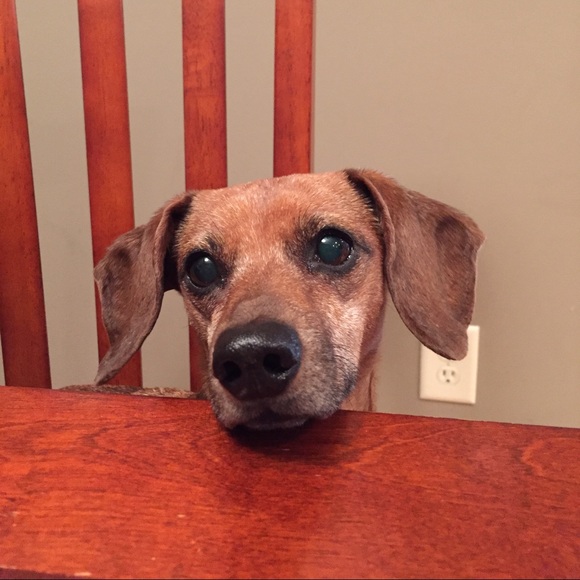 Meet your Posher, Tanya