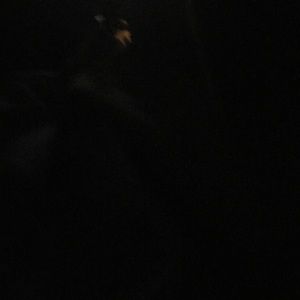 Meet your Posher, Katelyn