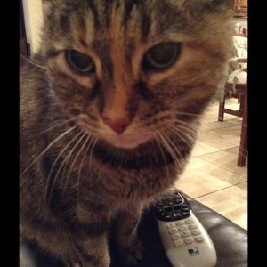 Meet your Posher, Caycee