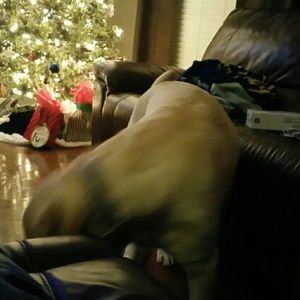 Meet your Posher, Brad