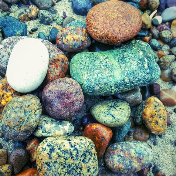 Meet your Posher, Claudia