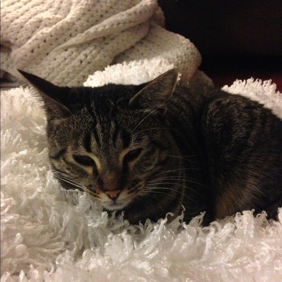 Meet your Posher, Nicole