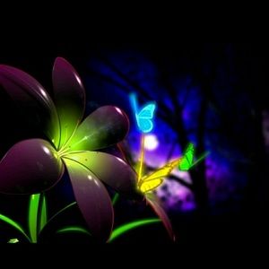 Meet your Posher, Leighann