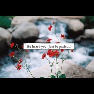 Meet your Posher, Santa