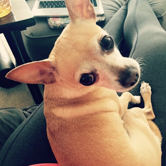 ๐Christy๐ - Picture 3 of 4