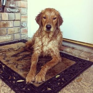 Meet your Posher, Kara