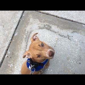 Meet your Posher, Barbara