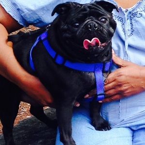 Meet your Posher, Beverly