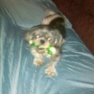 Meet your Posher, Wava