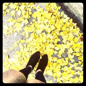 Bundle for zebraotto3