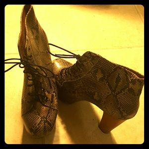 Jeffrey Campbell lita shoe in Ivory python