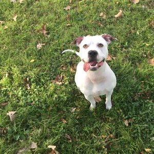 Meet your Posher, Deborah