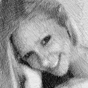 Meet your Posher, Bethany