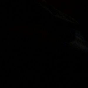 Meet your Posher, Benny