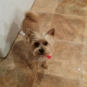 Meet your Posher, Denise