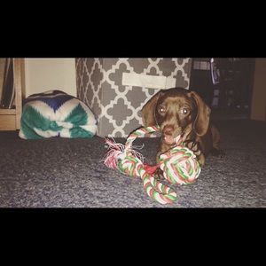 Meet your Posher, Brooke