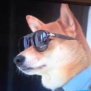 Meet your Posher, Alfredo