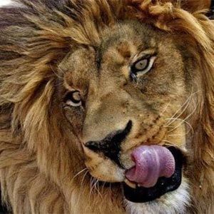 Meet your Posher, Zach