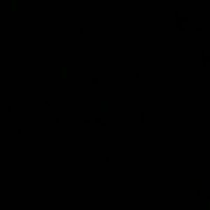 Meet your Posher, Allen