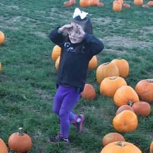 Meet your Posher, Amy