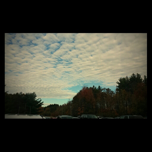 Meet your Posher, Adwoa