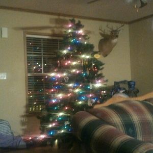 Meet your Posher, Robin