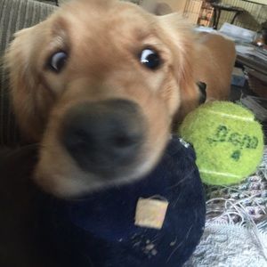 Meet your Posher, Kim