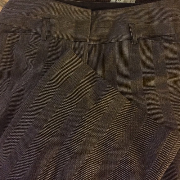 Express dress pants