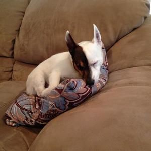 Meet your Posher, Denise